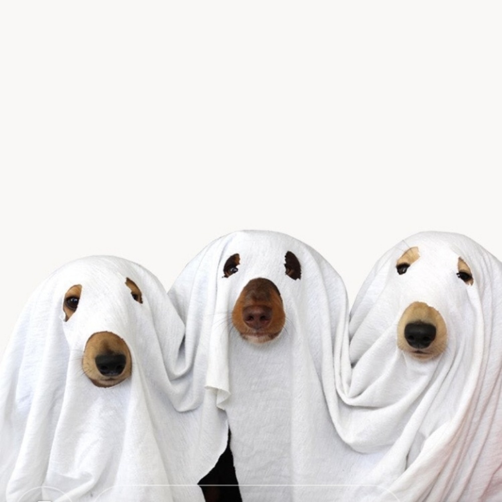 Costumes!